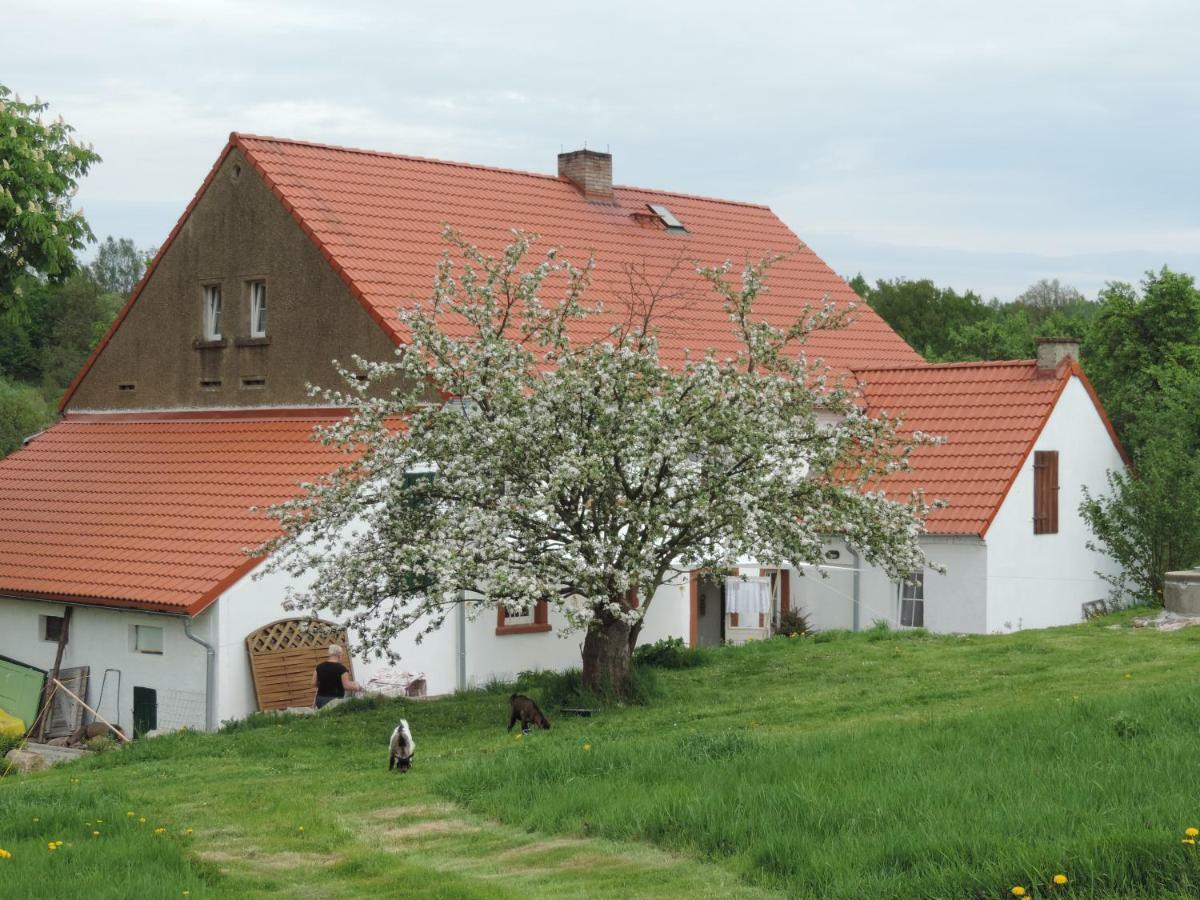 Pod Miotelka Wlen Exterior foto